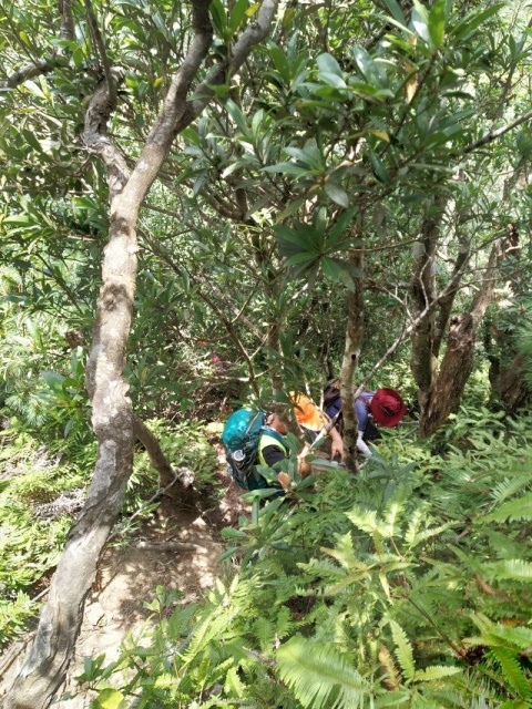 P1020650-1.jpg P1020650-1.jpg