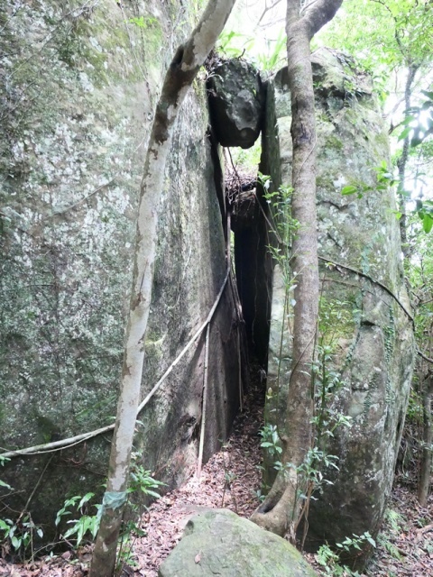 P1020651.JPG P1020651.JPG