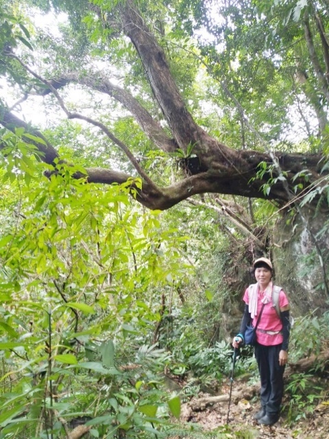 P1020653.jpg P1020653.jpg