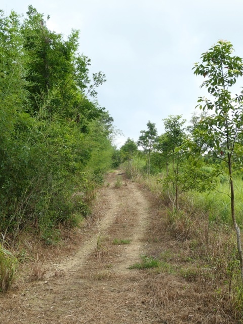 P1020663.JPG P1020663.JPG