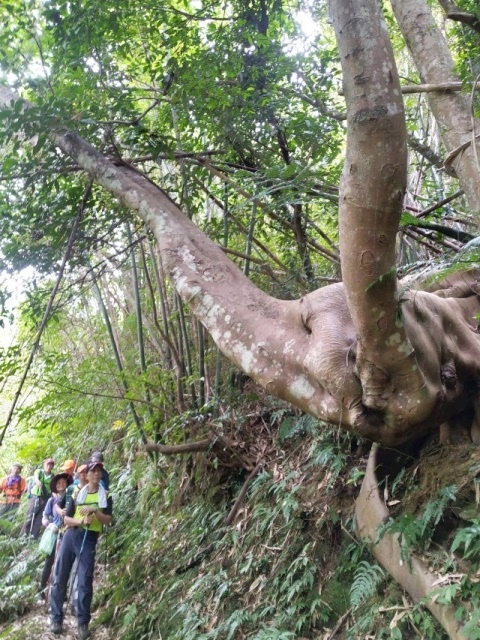 P1020665.jpg P1020665.jpg