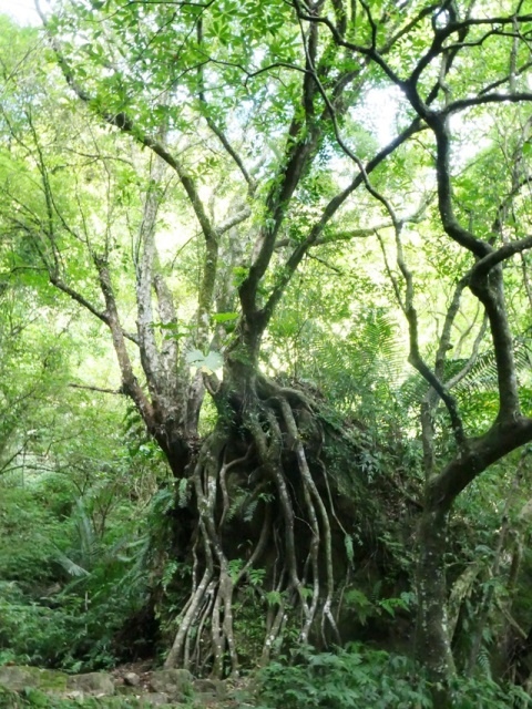 P1020611.JPG P1020611.JPG