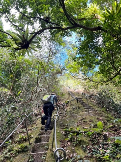 P1020613-3.jpg P1020613-3.jpg