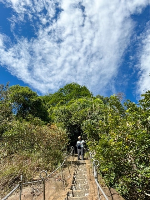 P1020613-4.jpg P1020613-4.jpg