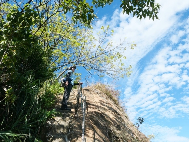 P1020677.JPG P1020677.JPG