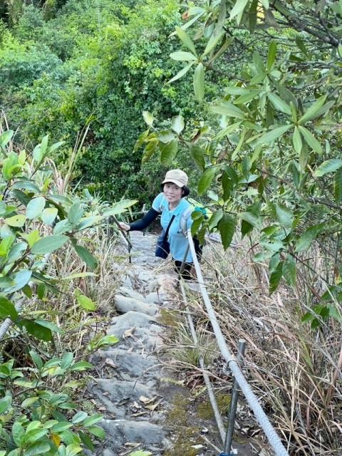 P1020695-2.jpg P1020695-2.jpg