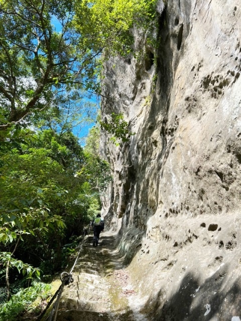 P1020701.jpg P1020701.jpg