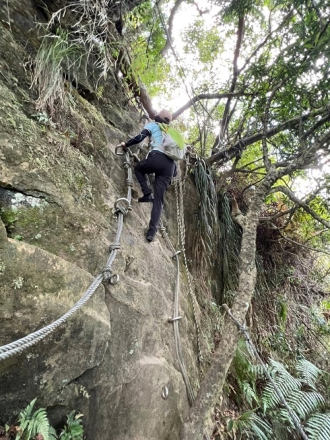 P1020714-2.jpg P1020714-2.jpg