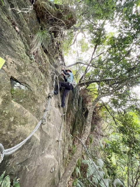 P1020714-6.jpg P1020714-6.jpg