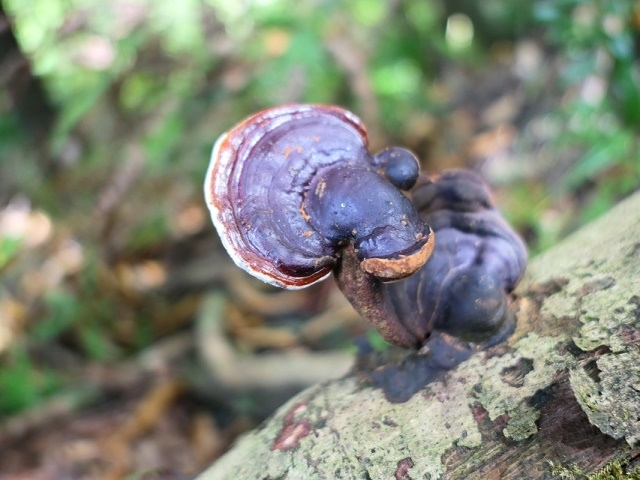 P1020723.JPG P1020723.JPG