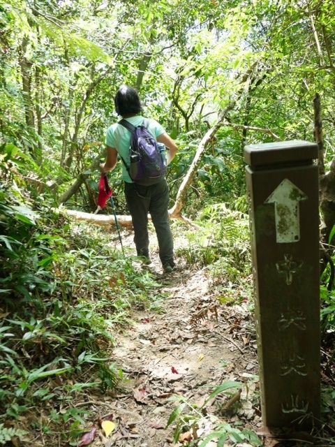 P1020727.JPG P1020727.JPG