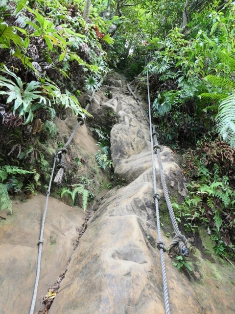 P1020731.JPG P1020731.JPG