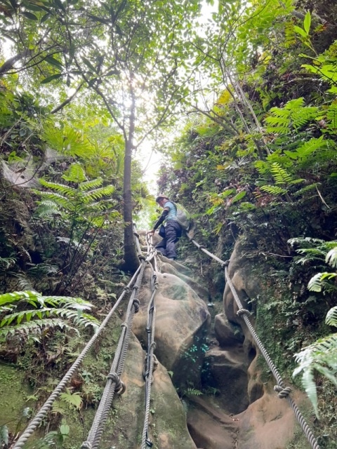 P1020731-4.jpg P1020731-4.jpg