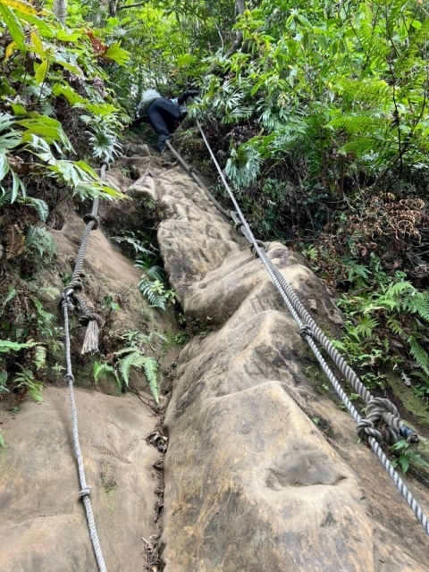 P1020738(1137).jpg P1020738(1137).jpg