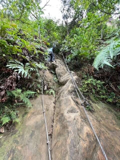 P1020738-3.jpg P1020738-3.jpg