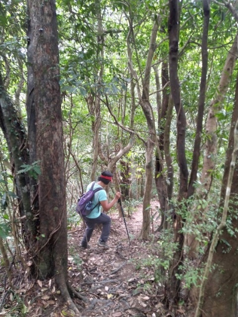 P1020745.jpg P1020745.jpg