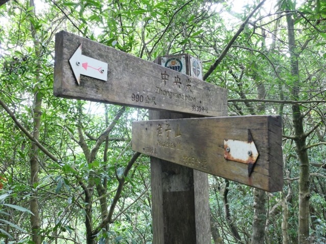 P1020746.JPG P1020746.JPG