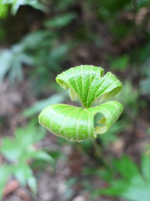 P1020748.JPG P1020748.JPG