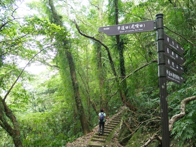 P1020754(1245).JPG P1020754(1245).JPG