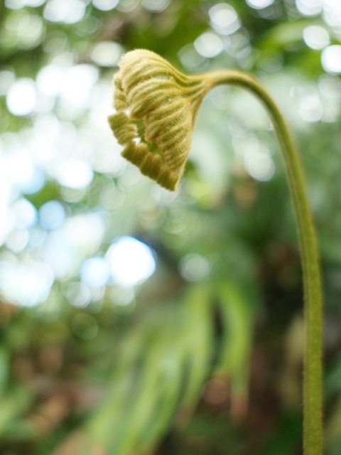 P1020753.JPG P1020753.JPG