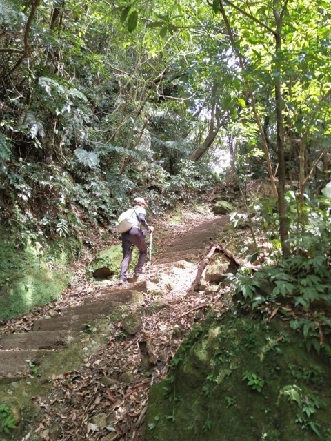 P1020754-4.jpg P1020754-4.jpg