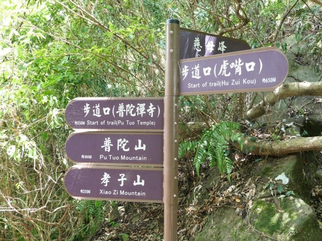 P1020759.JPG P1020759.JPG