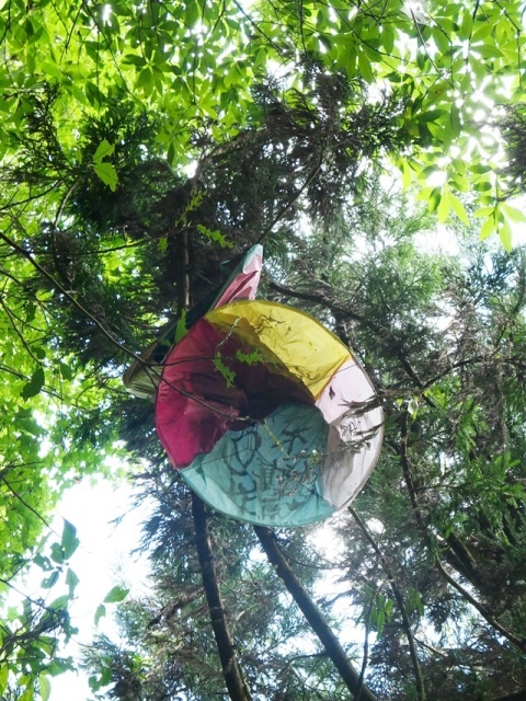 P1020764.JPG P1020764.JPG