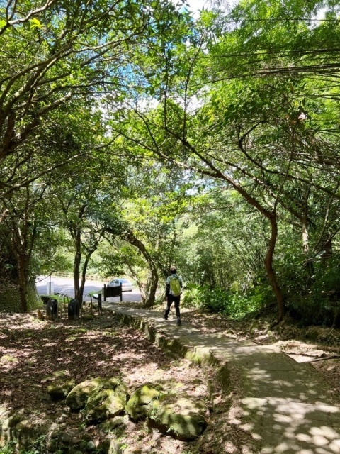 P1020765-5(1312).jpg P1020765-5(1312).jpg