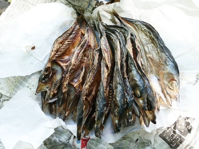 P1020767-1.JPG P1020767-1.JPG