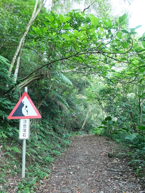 P1020771.JPG P1020771.JPG