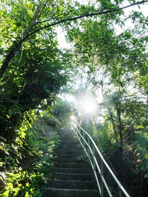 P1020779.JPG P1020779.JPG