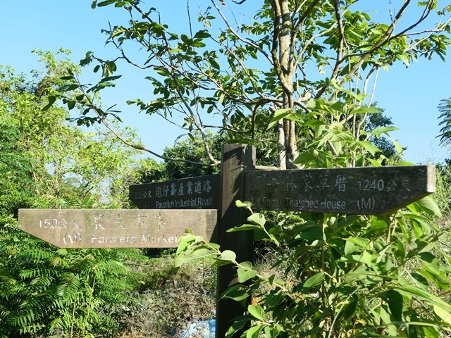 P1020781(0757).JPG P1020781(0757).JPG