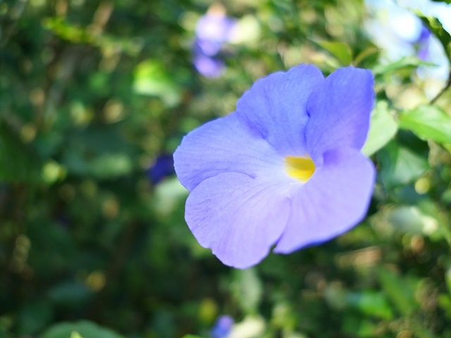 P1020785.JPG P1020785.JPG