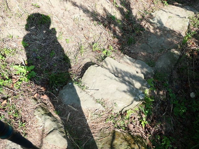 P1020790.JPG P1020790.JPG