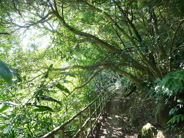 P1020792.JPG P1020792.JPG