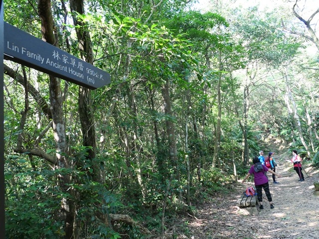 P1020793.JPG P1020793.JPG