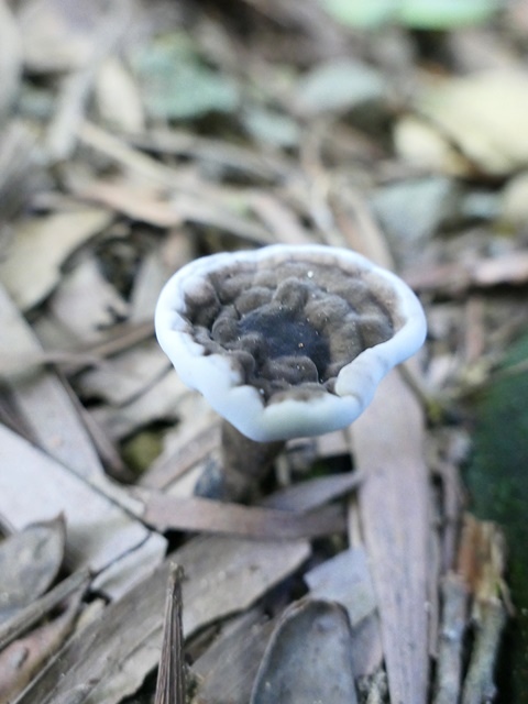 P1020796.JPG P1020796.JPG