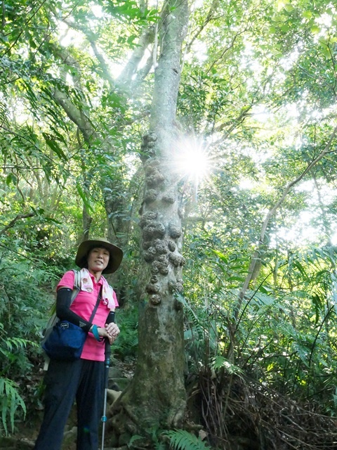 P1020805.JPG P1020805.JPG