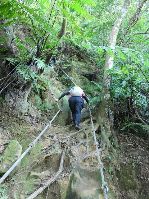 P1020808-1.JPG P1020808-1.JPG