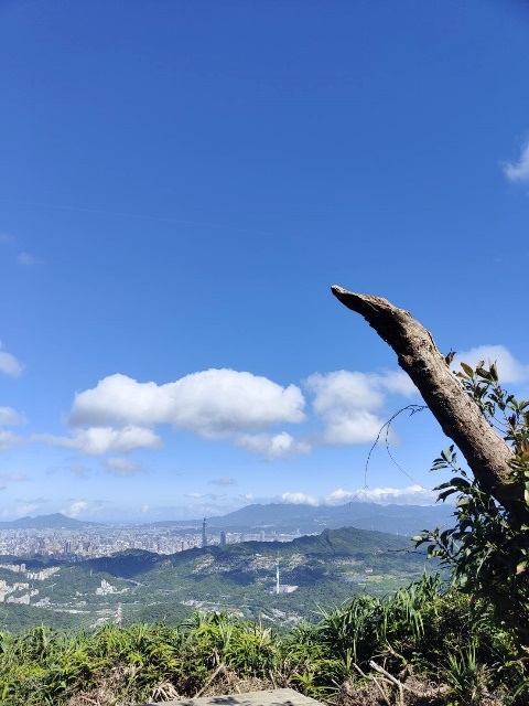 P1020815-1.jpg P1020815-1.jpg