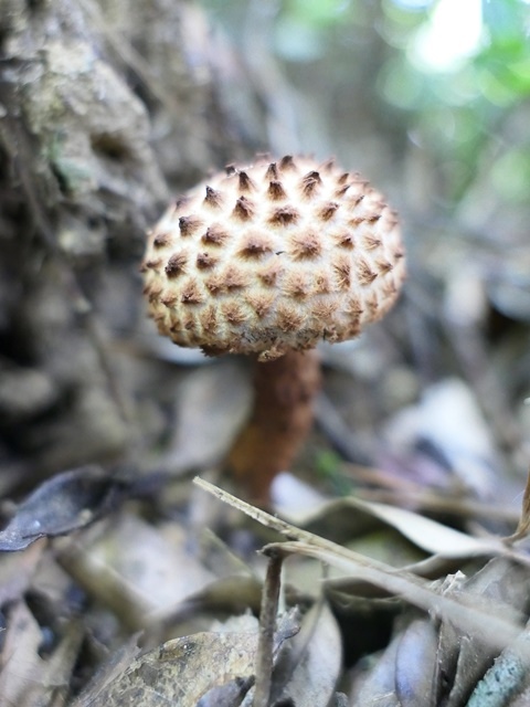 P1020817.JPG P1020817.JPG