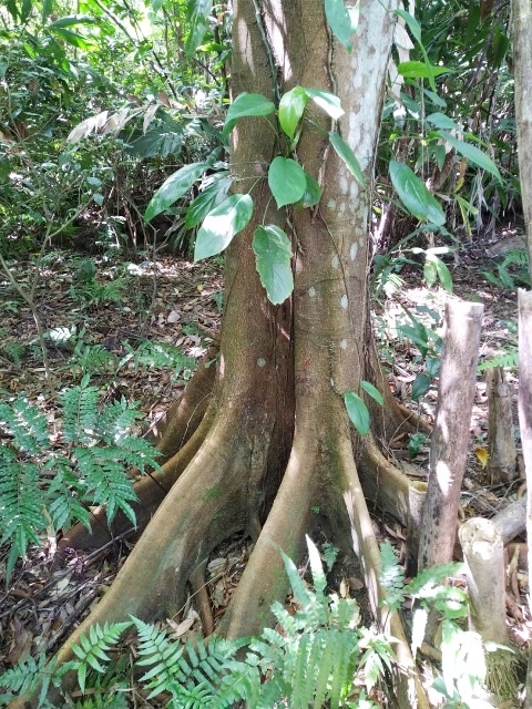 P1020818-3.jpg P1020818-3.jpg