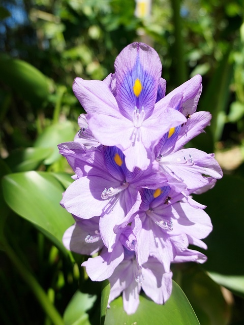 P1020824.JPG P1020824.JPG