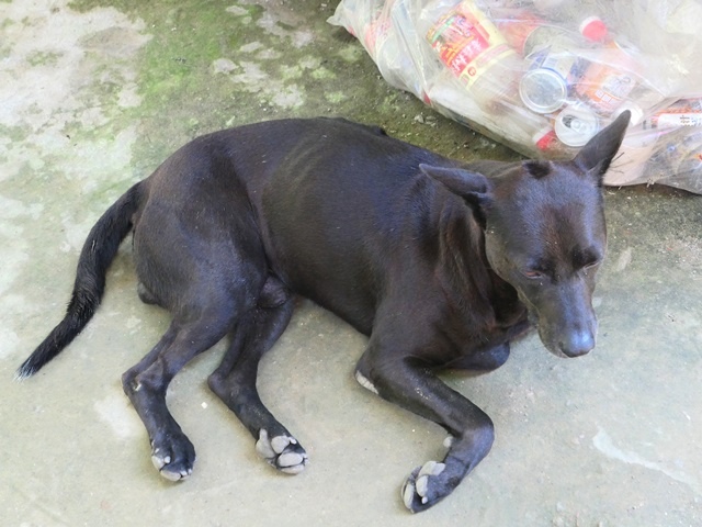 P1020825.JPG P1020825.JPG