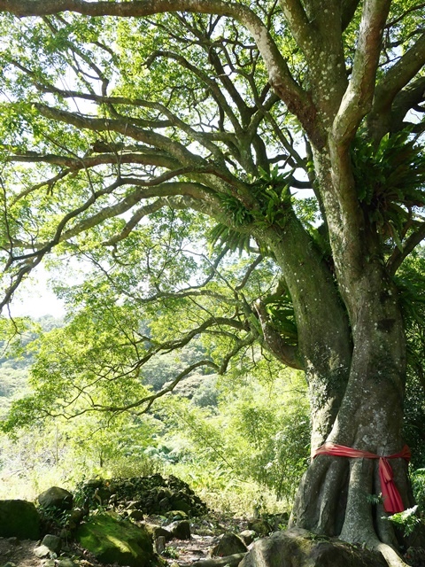 P1020830.JPG P1020830.JPG