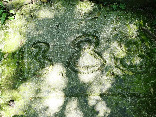 P1020874.JPG P1020874.JPG