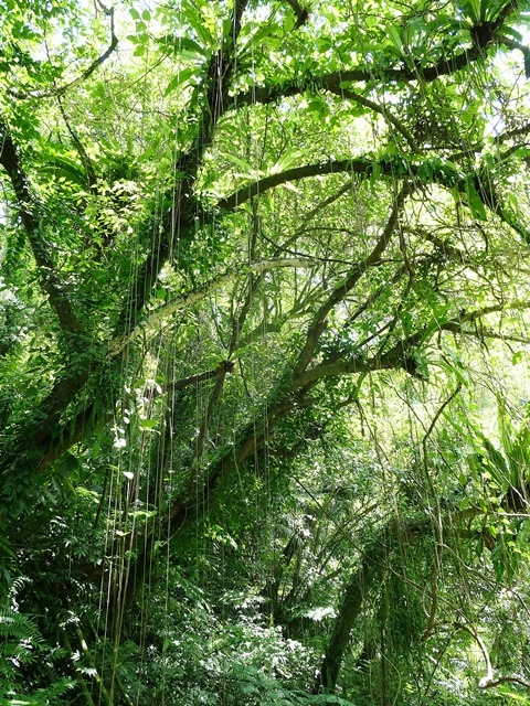 P1020875.JPG P1020875.JPG