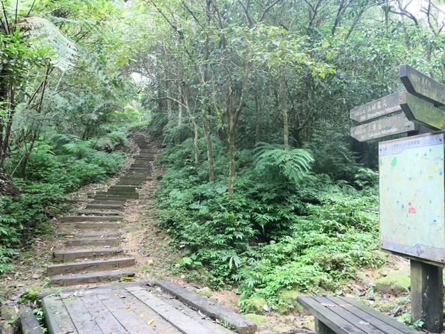 P1020919.JPG P1020919.JPG