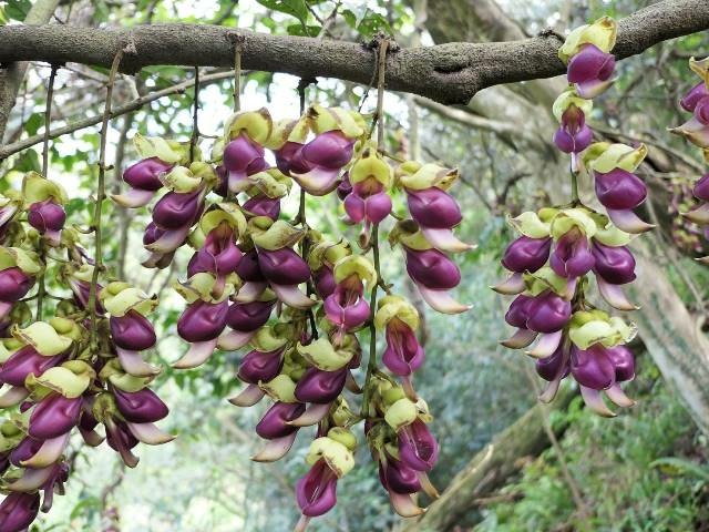 159284.jpg 159284.jpg