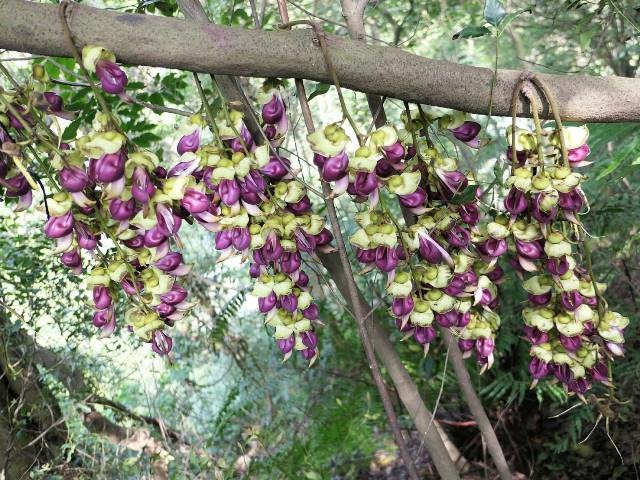 159286.jpg 159286.jpg